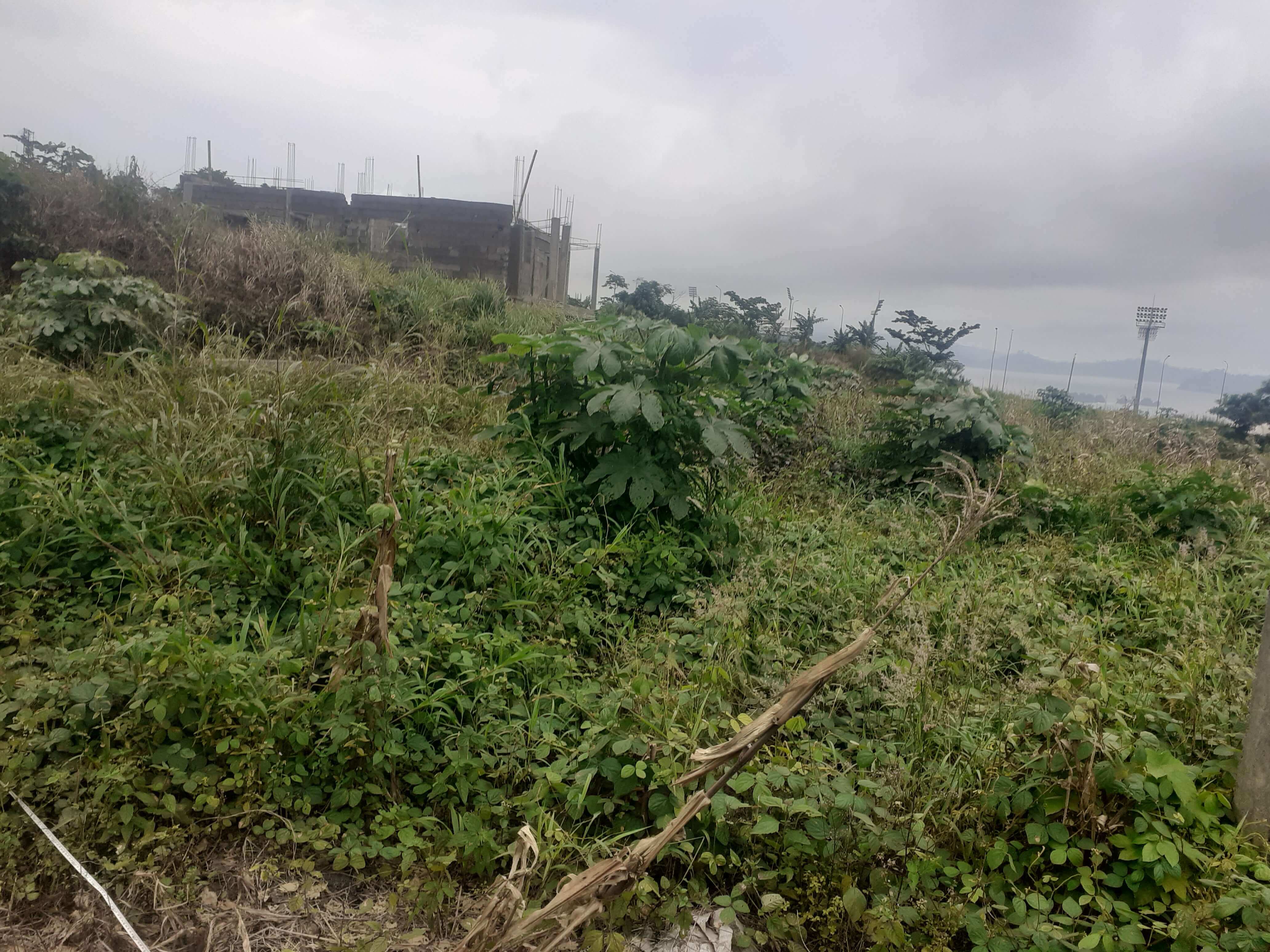 Project site before construction